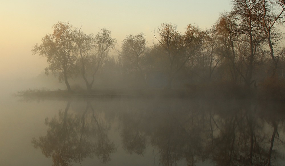 Фотографія *** / GAYDZIN / photographers.ua