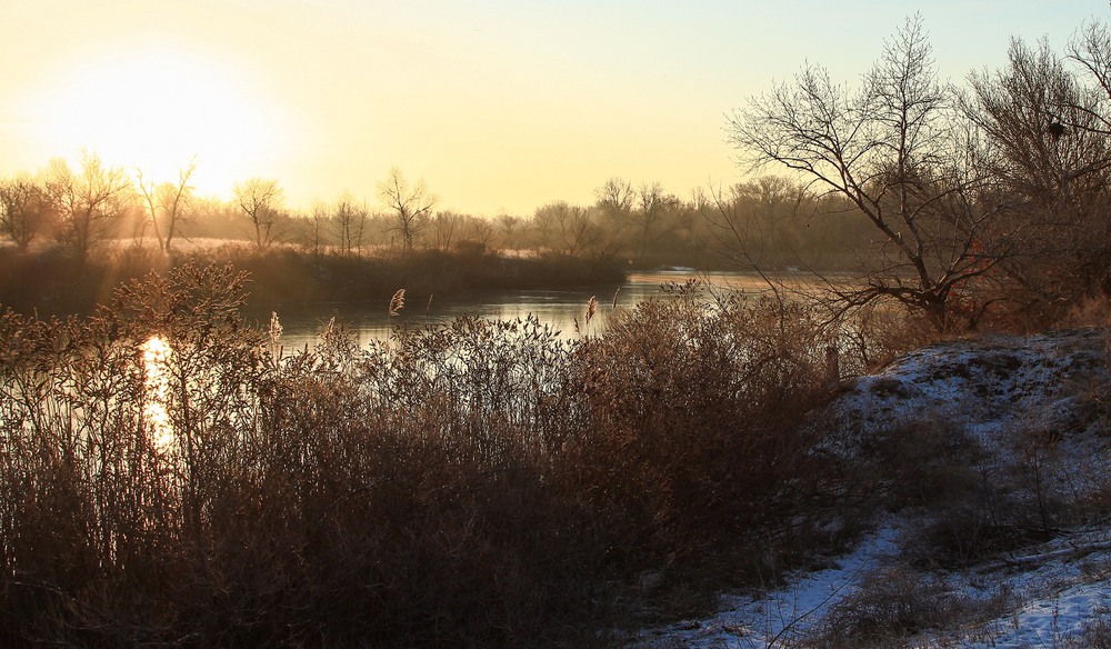 Фотографія Немного солнца в холодной воде / GAYDZIN / photographers.ua