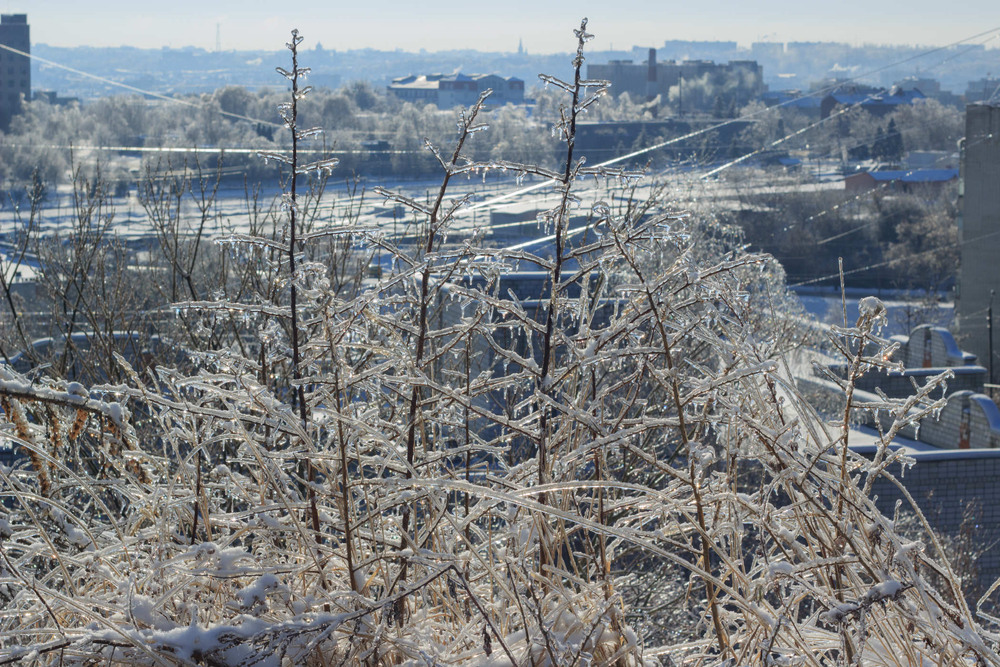 Фотографія Все блистить / Андрій Бабчій / photographers.ua