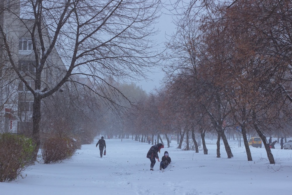 Фотографія Перший сніг 2016 / Андрій Бабчій / photographers.ua