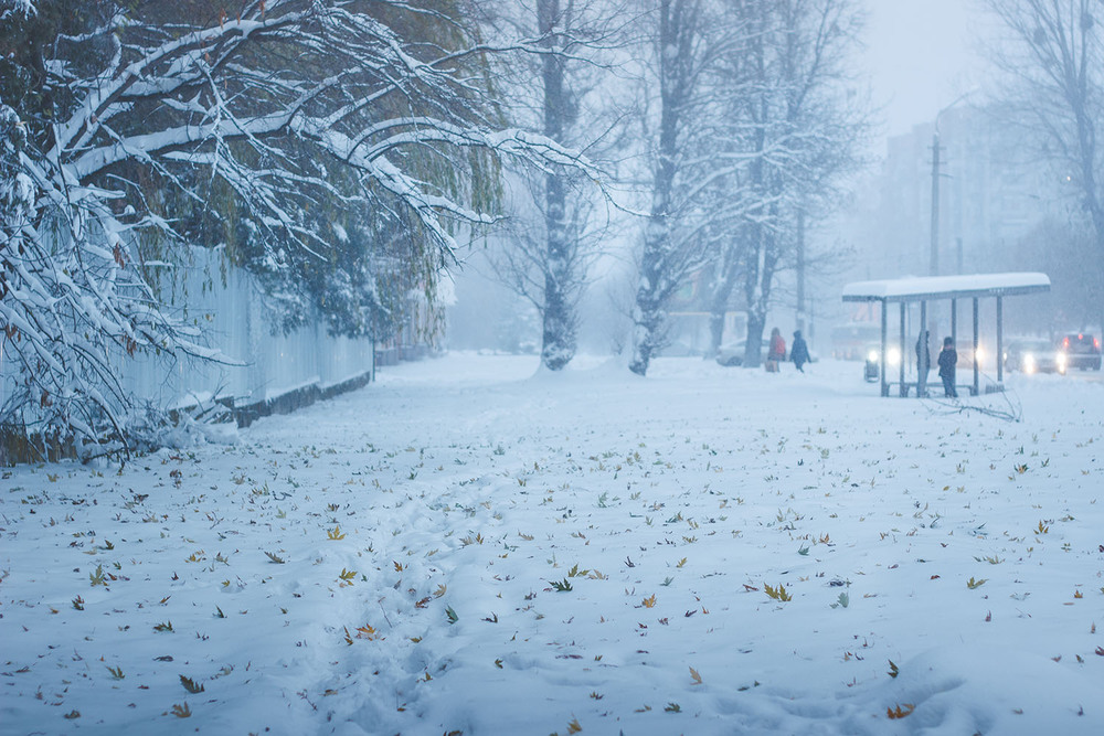 Фотографія Перший сніг / Андрій Бабчій / photographers.ua