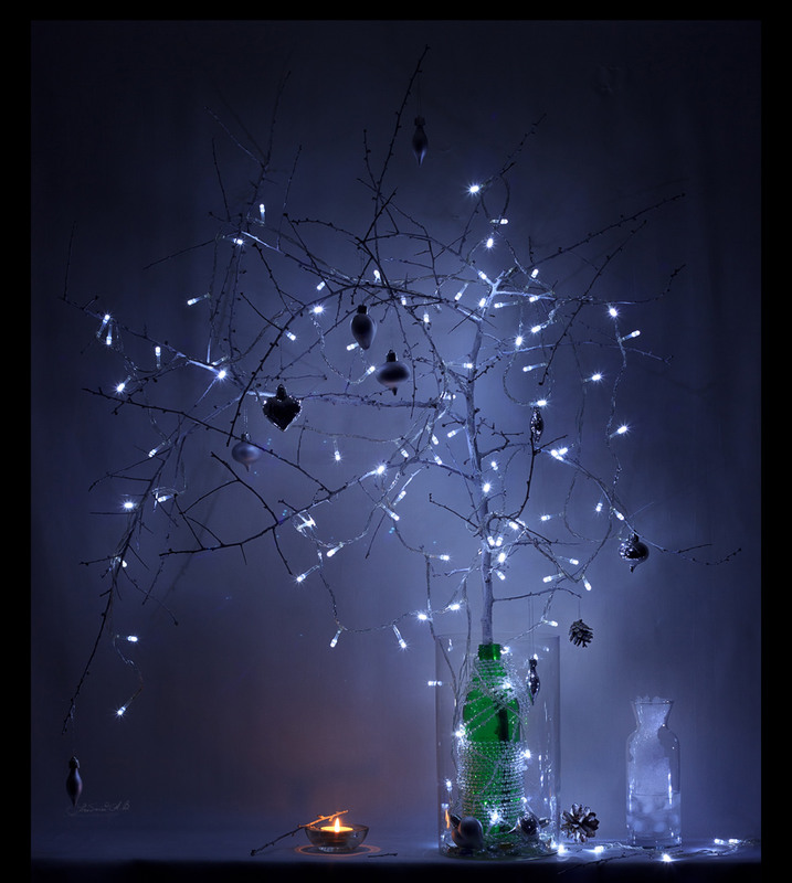 Фотографія теплі-- холодні, але затишні / Андрій Бабчій / photographers.ua