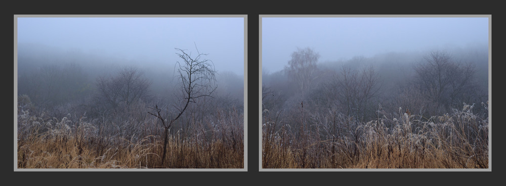 Фотографія Іній, легкий, сон / Андрій Бабчій / photographers.ua