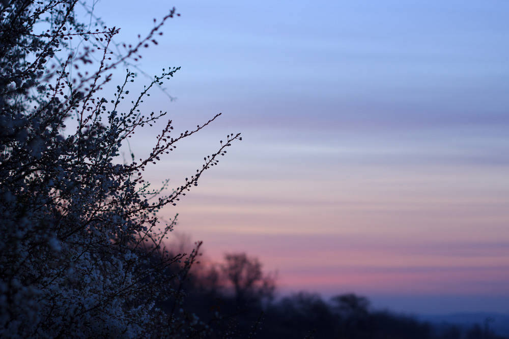 Фотографія Барви одного весняного світанку / Андрій Бабчій / photographers.ua