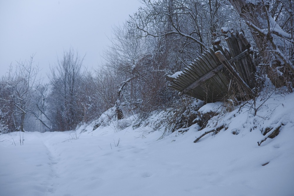 Фотографія Штахети віялом / Андрій Бабчій / photographers.ua