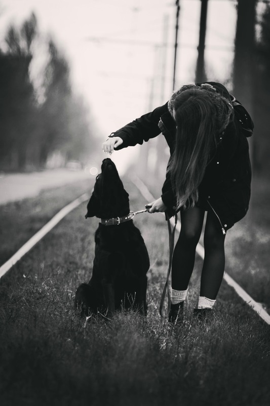 Фотографія Разное / Алина Цыкоза / photographers.ua