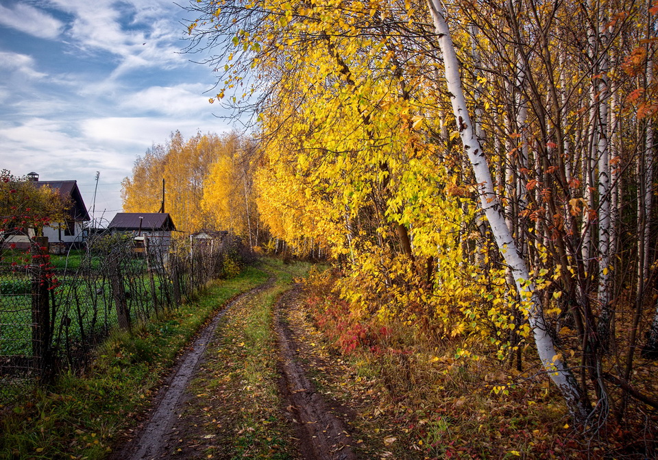 Фотографія Красивая осень этого года / makwel / photographers.ua