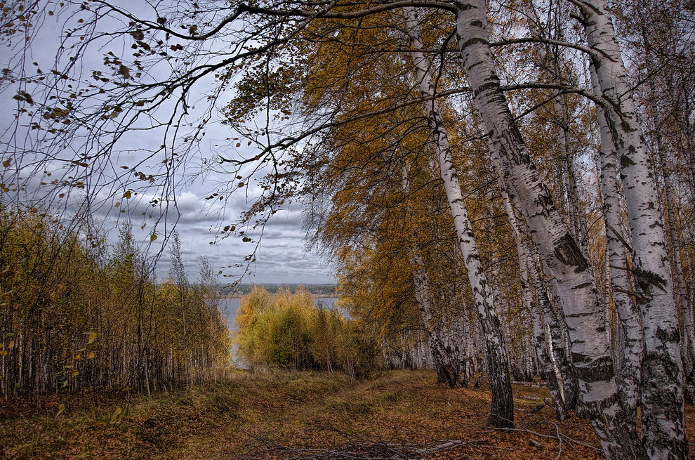 Фотографія Скромная осень / makwel / photographers.ua