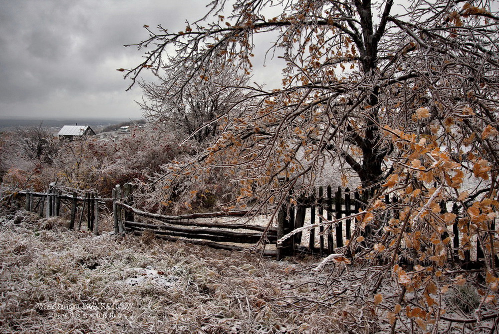 Фотографія "Ледниковый период" в Пущино / makwel / photographers.ua