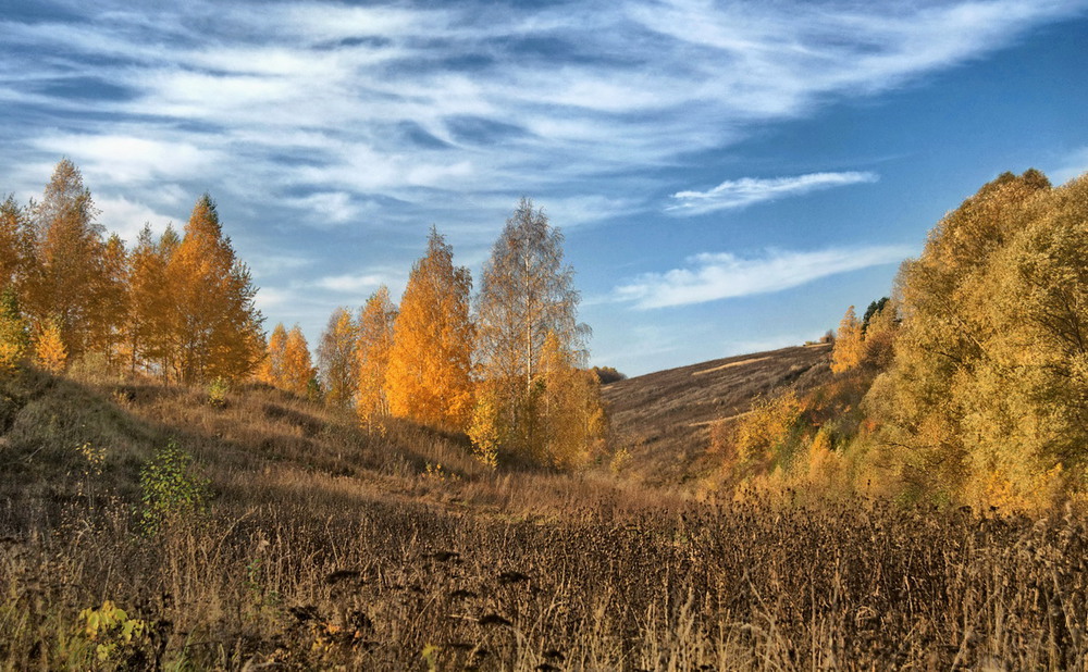 Фотографія Апогея осени / makwel / photographers.ua