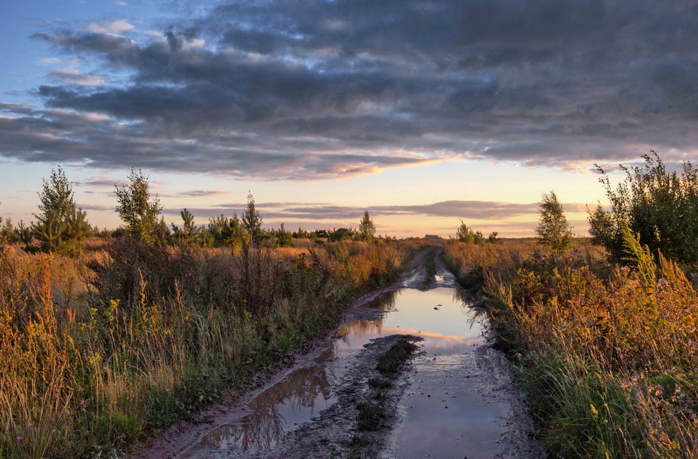 Фотографія К вечеру распогодилось / makwel / photographers.ua