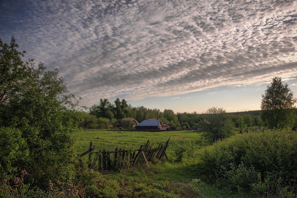 Фотографія Лето. Серебристые облака. / makwel / photographers.ua