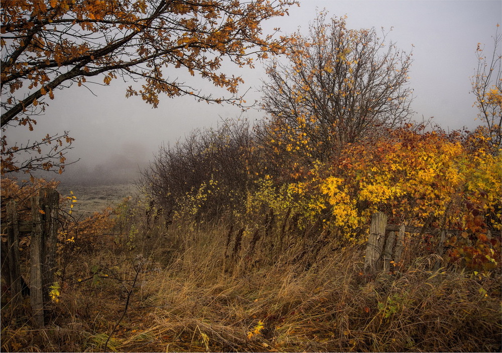 Фотографія Осеннее прохладное утро / makwel / photographers.ua