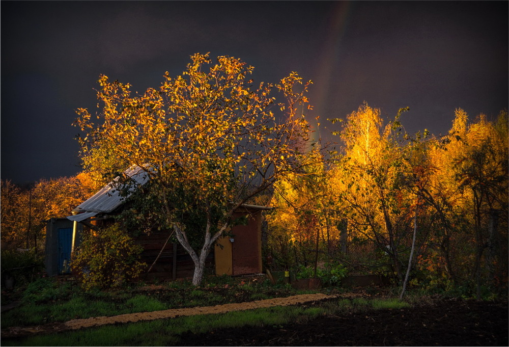 Фотографія Осенним вечером на огородике / makwel / photographers.ua