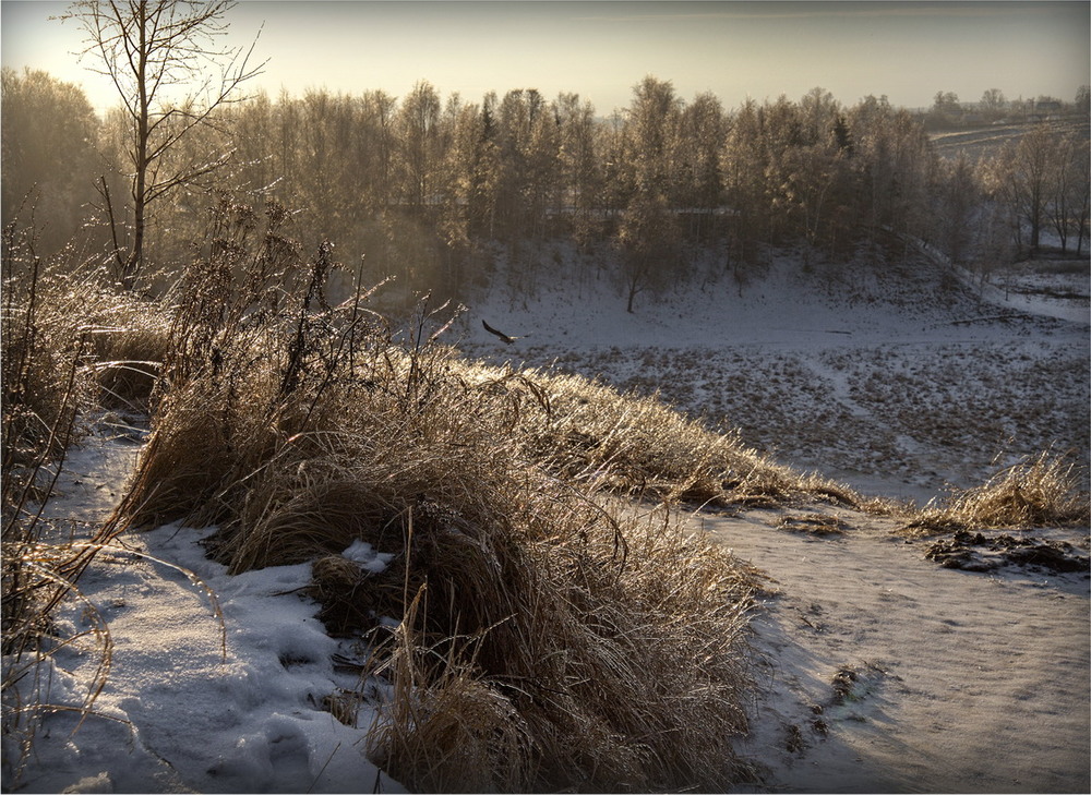 Фотографія После зимнего дождя / makwel / photographers.ua