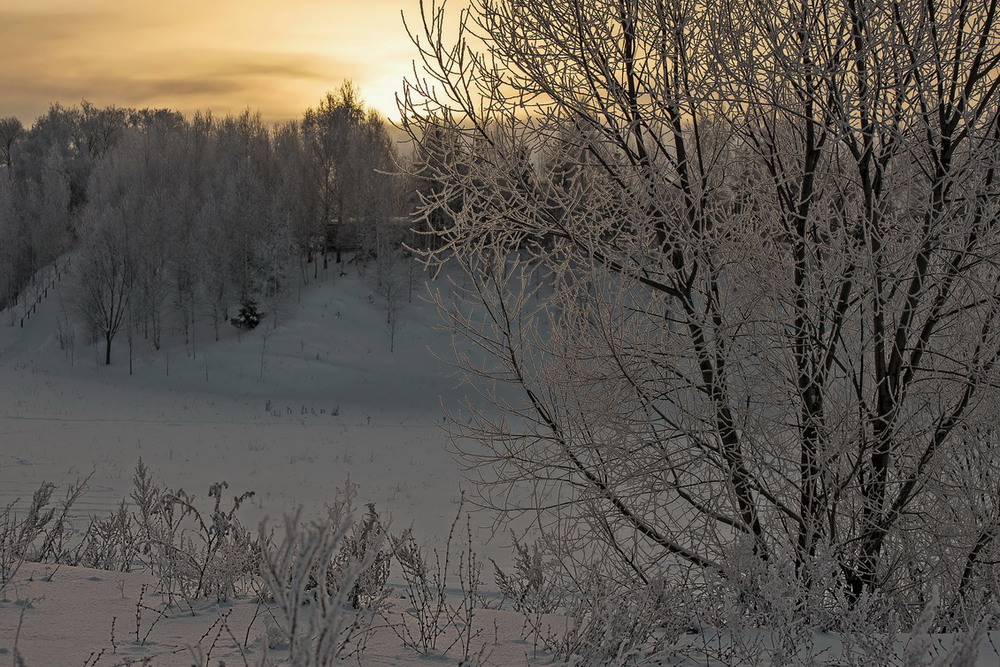 Фотографія Провожая зимний день / makwel / photographers.ua