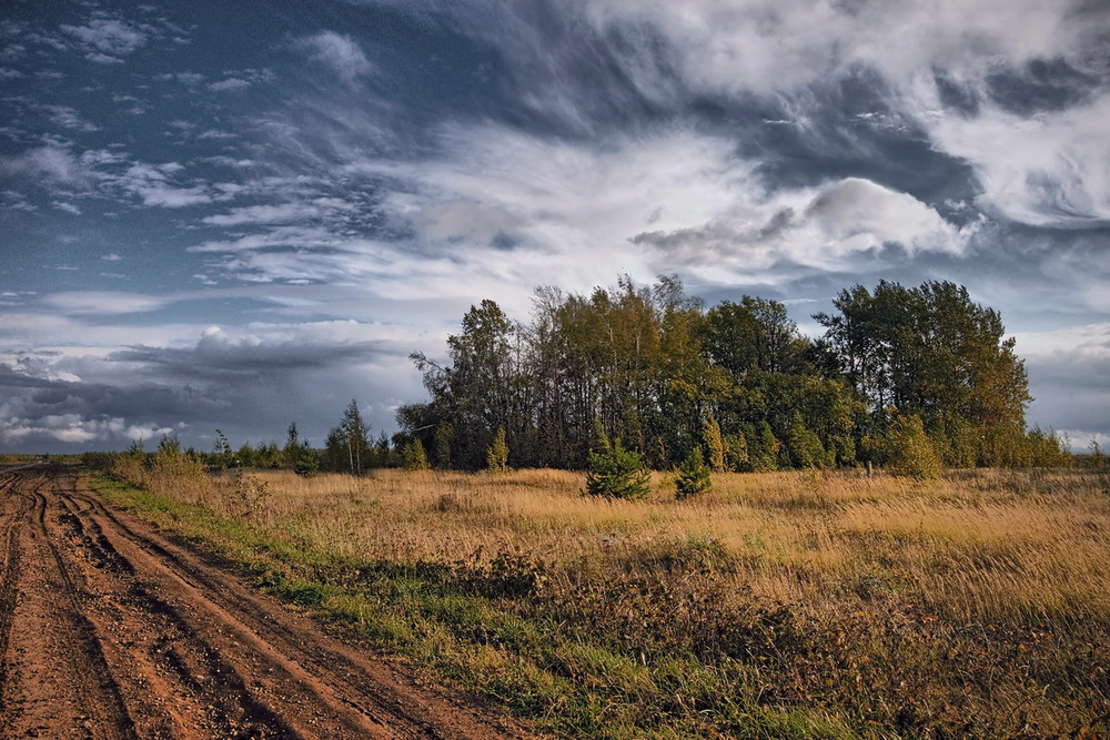 Фотографія Смятение / makwel / photographers.ua