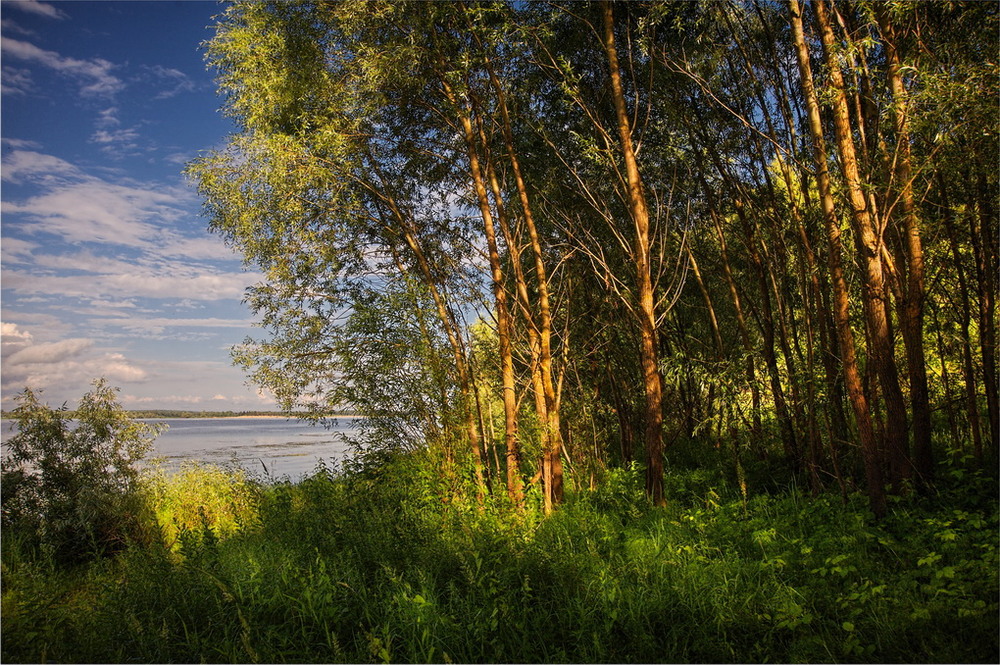 Фотографія Вплотную к реке / makwel / photographers.ua