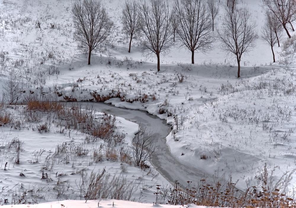 Фотографія Петли и стежкИ зимы / makwel / photographers.ua