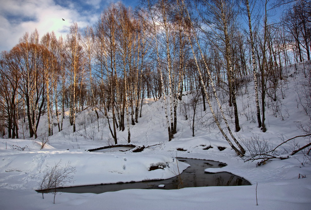 Фотографія Чистый снег / makwel / photographers.ua