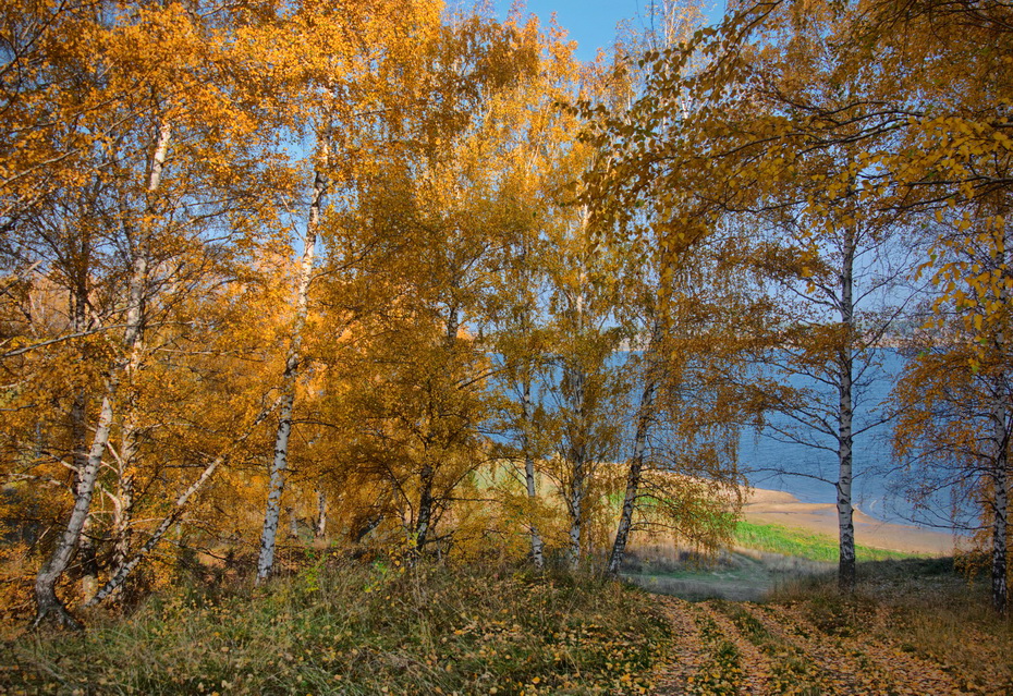 Фотографія Лазурь и золото / makwel / photographers.ua