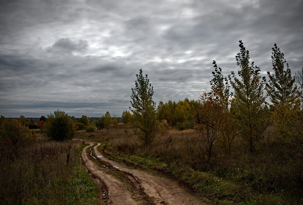 Фотографія Осеннее настроение / makwel / photographers.ua