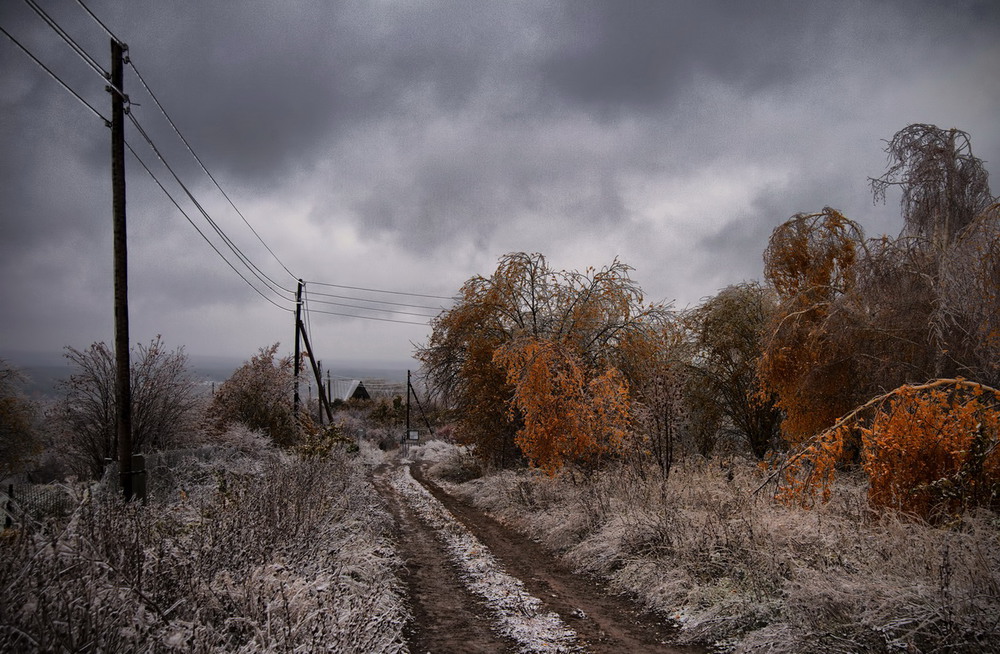 Фотографія Застывшая осень / makwel / photographers.ua