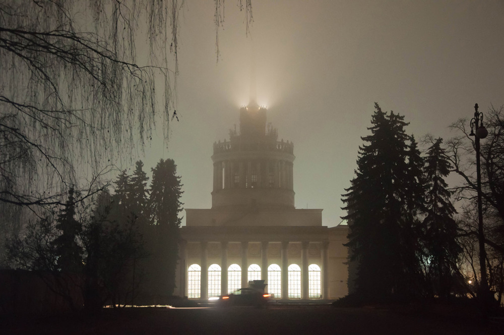 Фотографія В тумане / Ludmila Zaitseva / photographers.ua
