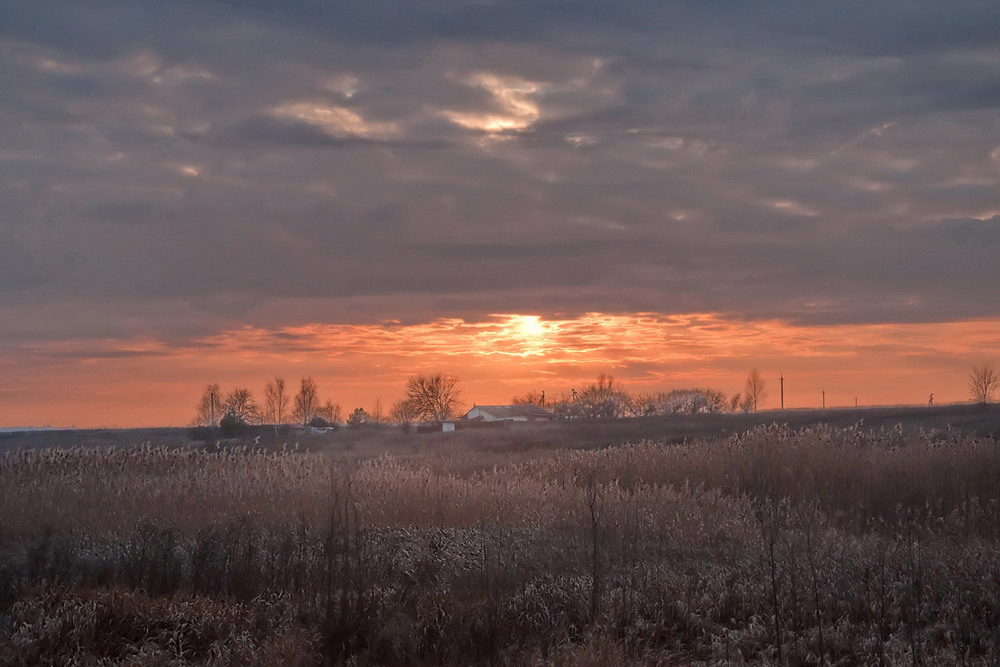 Фотографія На закате уходящей зимы / Ludmila Zaitseva / photographers.ua