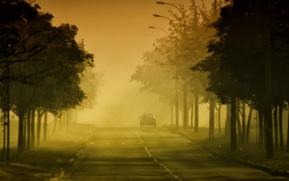 Фотографія Утро...Туман...Дорога... / Тамила / photographers.ua