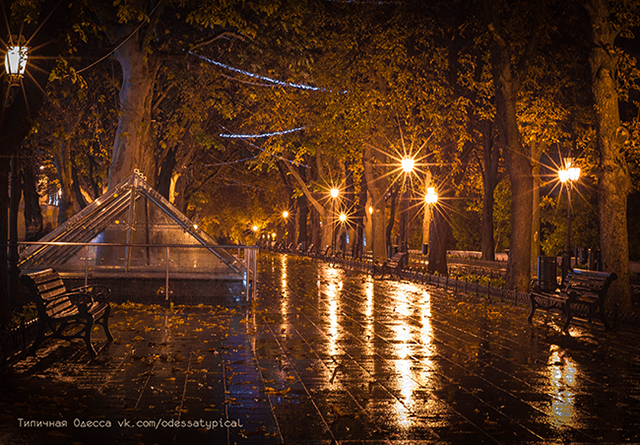 Фотографія Осень в Одессе / Александр Синицын / photographers.ua