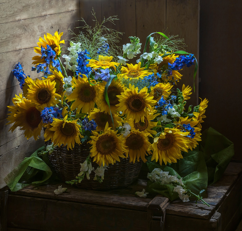 Фотографія Нехай на ящиках від снарядів ростуть тільки квіти... Зі святом, рідна земле!!!! / Ольга Орлова / photographers.ua