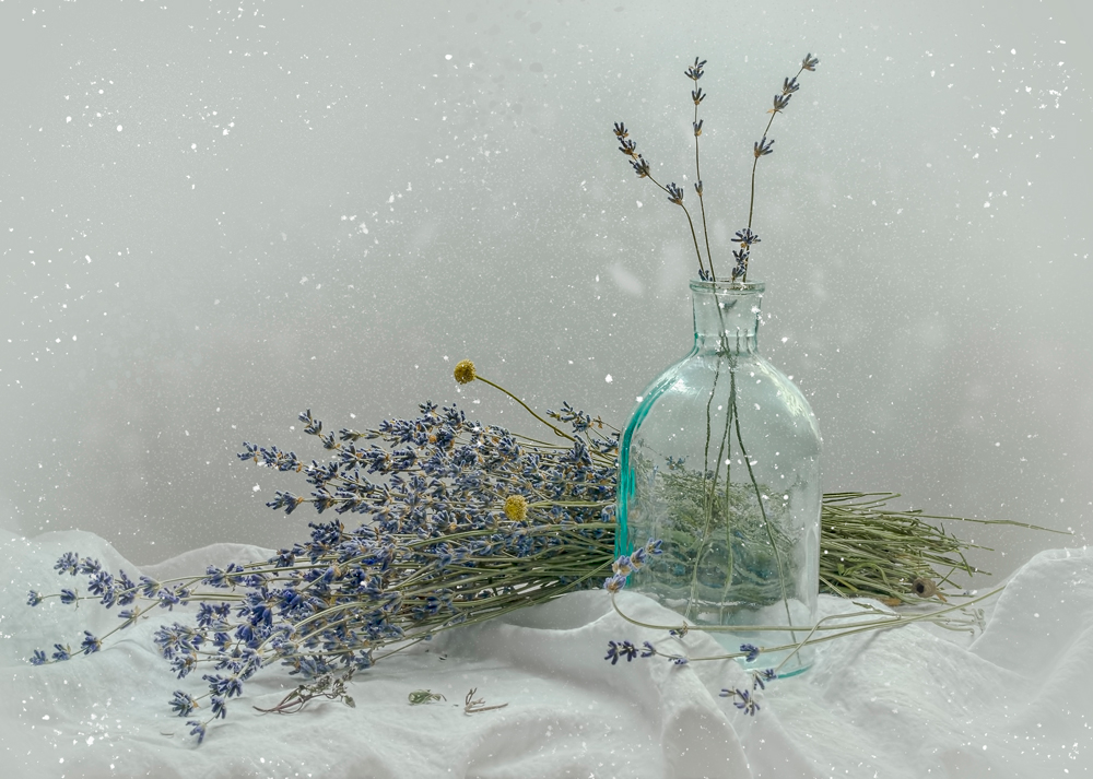 Фотографія Зима пахне сухою лавандою... / Ольга Орлова / photographers.ua