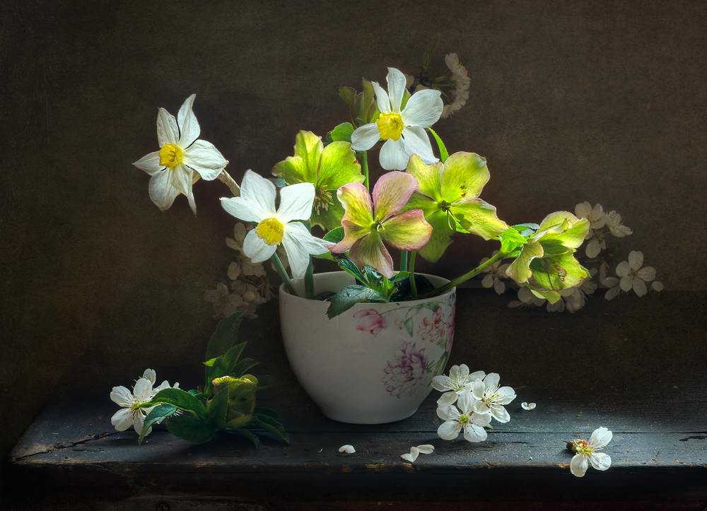 Фотографія Найпрекрасніші квіти - ті, які розцвітають на холоді. Джон Апдайк. / Ольга Орлова / photographers.ua