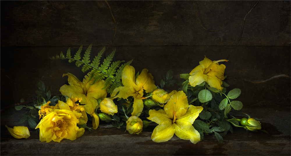 Фотографія Желтые цветы после летнего дождя... / Ольга Орлова / photographers.ua