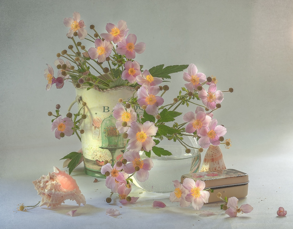 Фотографія pink flowers.... / Ольга Орлова / photographers.ua