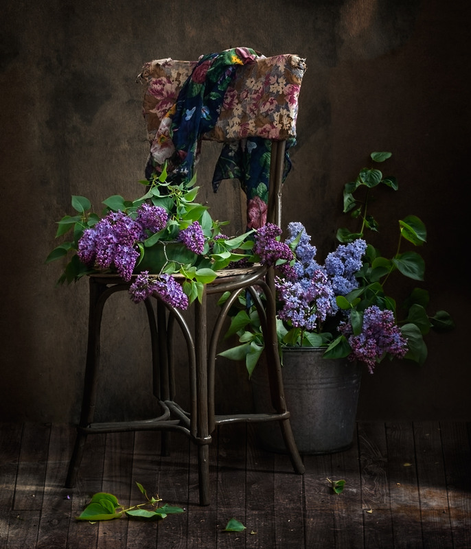 Фотографія Из серии "Весна в старом доме..." / Ольга Орлова / photographers.ua