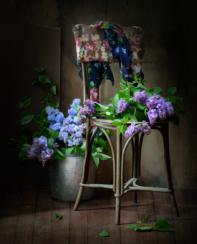 Фотографія Из серии "Весна в старом доме..." / Ольга Орлова / photographers.ua