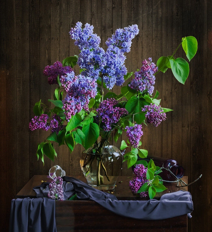 Фотографія Из  серии "Была весна...Весна цвела..." / Ольга Орлова / photographers.ua