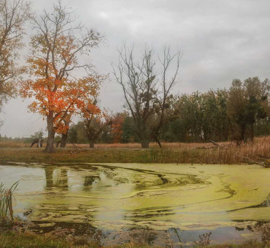 Фотографія Осень разводит краски... / Ольга Орлова / photographers.ua