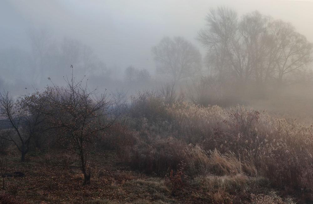 Фотографія Высокие туманы ноября... / Ольга Орлова / photographers.ua