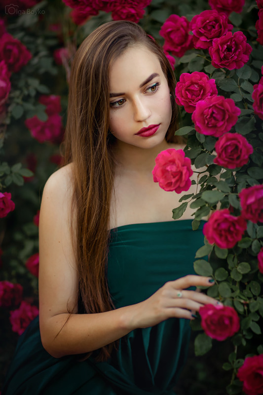 Фотографія Roses / Ольга Бойко / photographers.ua