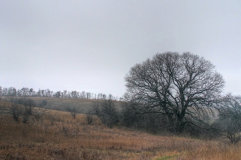 Фотографія the end of autumn / БокЭ / photographers.ua