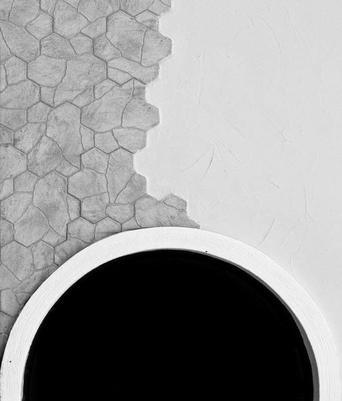 Фотографія чешуйки / БокЭ / photographers.ua