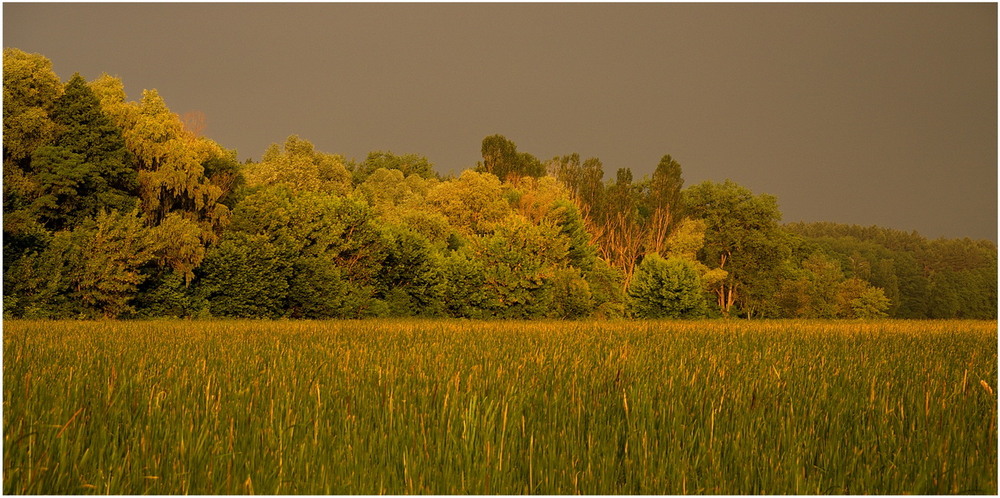 Фотографія Затишье перед бурей. / Кочубей Ирина   KeSha&Iren / photographers.ua