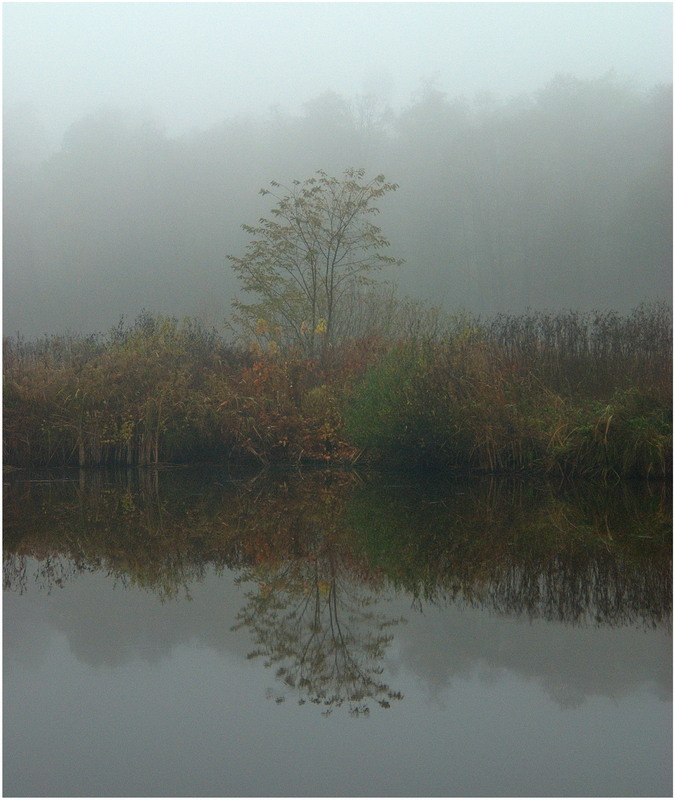 Фотографія Пейзаж / Кочубей Ирина   KeSha&Iren / photographers.ua