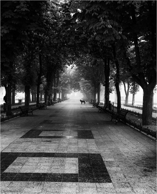 Фотографія Разное / sssssssssssss / photographers.ua