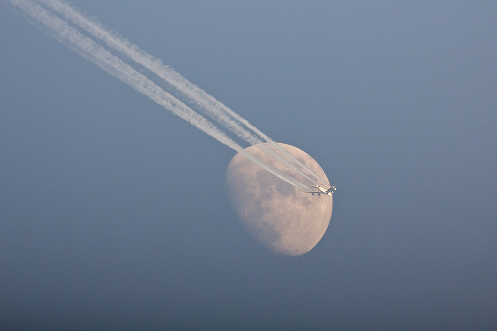 Фотографія Долететь бы до луны / Александр Степанюк / photographers.ua