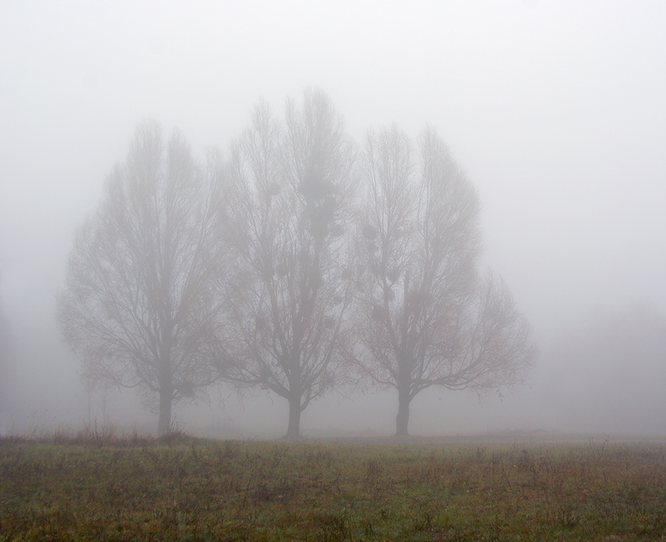 Фотографія Пейзаж / Maria Vergovska / photographers.ua