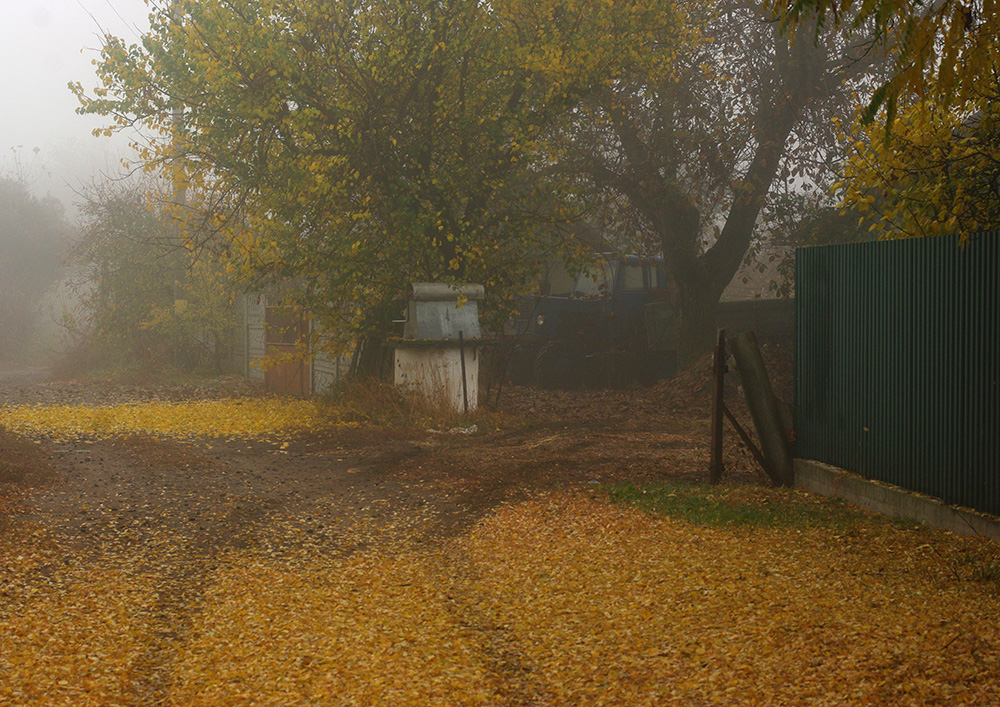 Фотографія сільска осінь / Maria Vergovska / photographers.ua